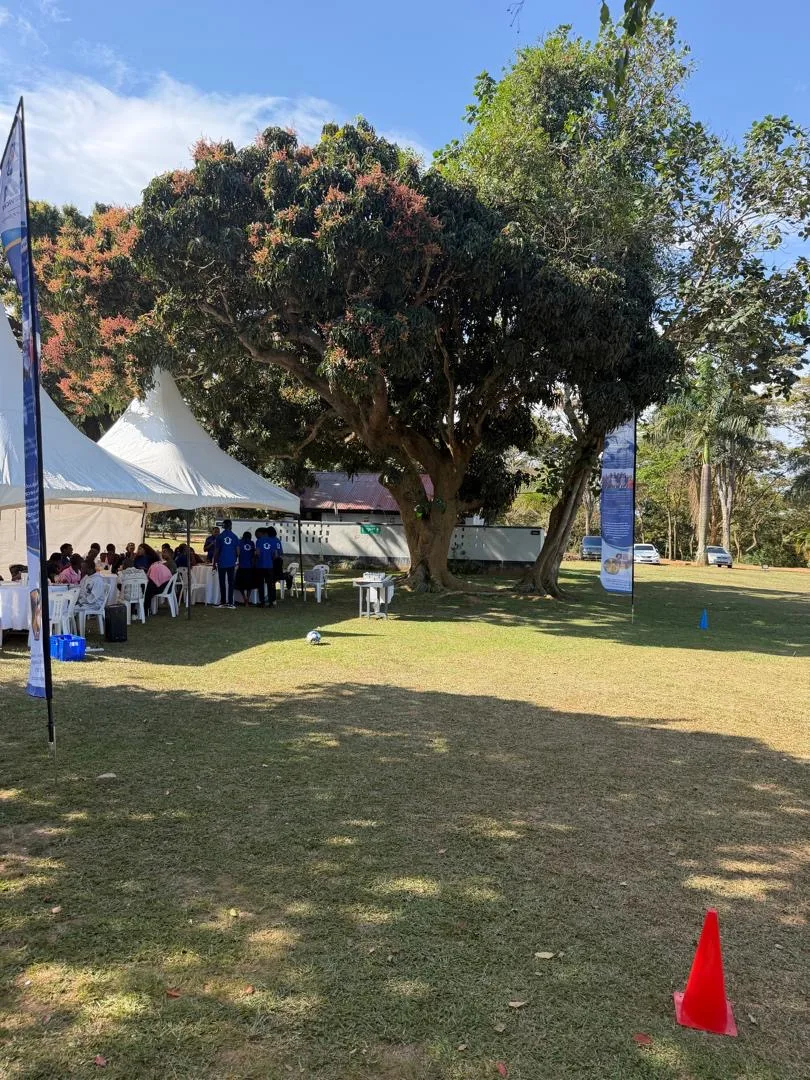 Community Picnic